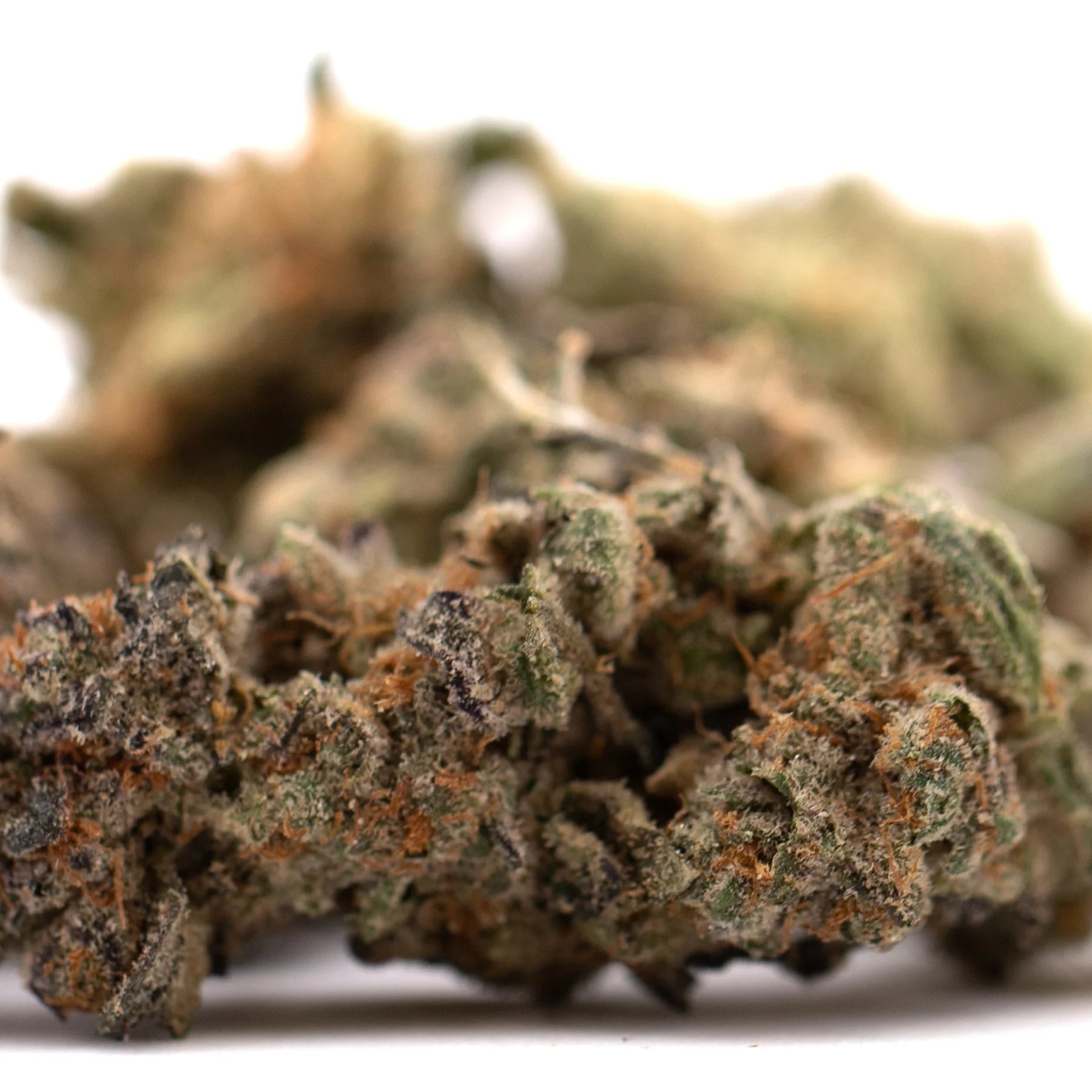 A dense green pez indoor thca flower bud covered in trichomes and orange pistils premium indoor thca flower