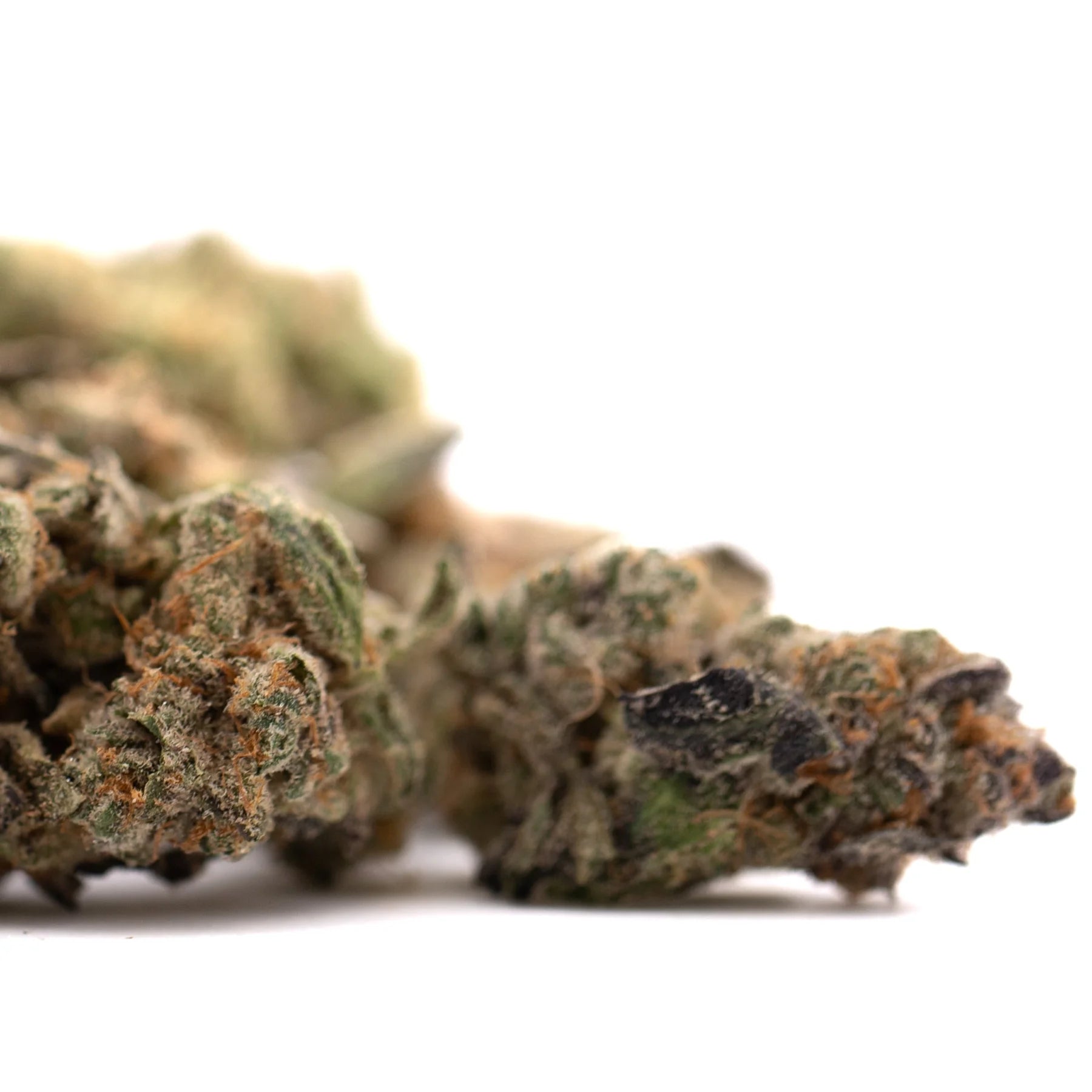 A dense green pez indoor thca flower bud covered in fine trichomes and orange pistils premium indoor thca