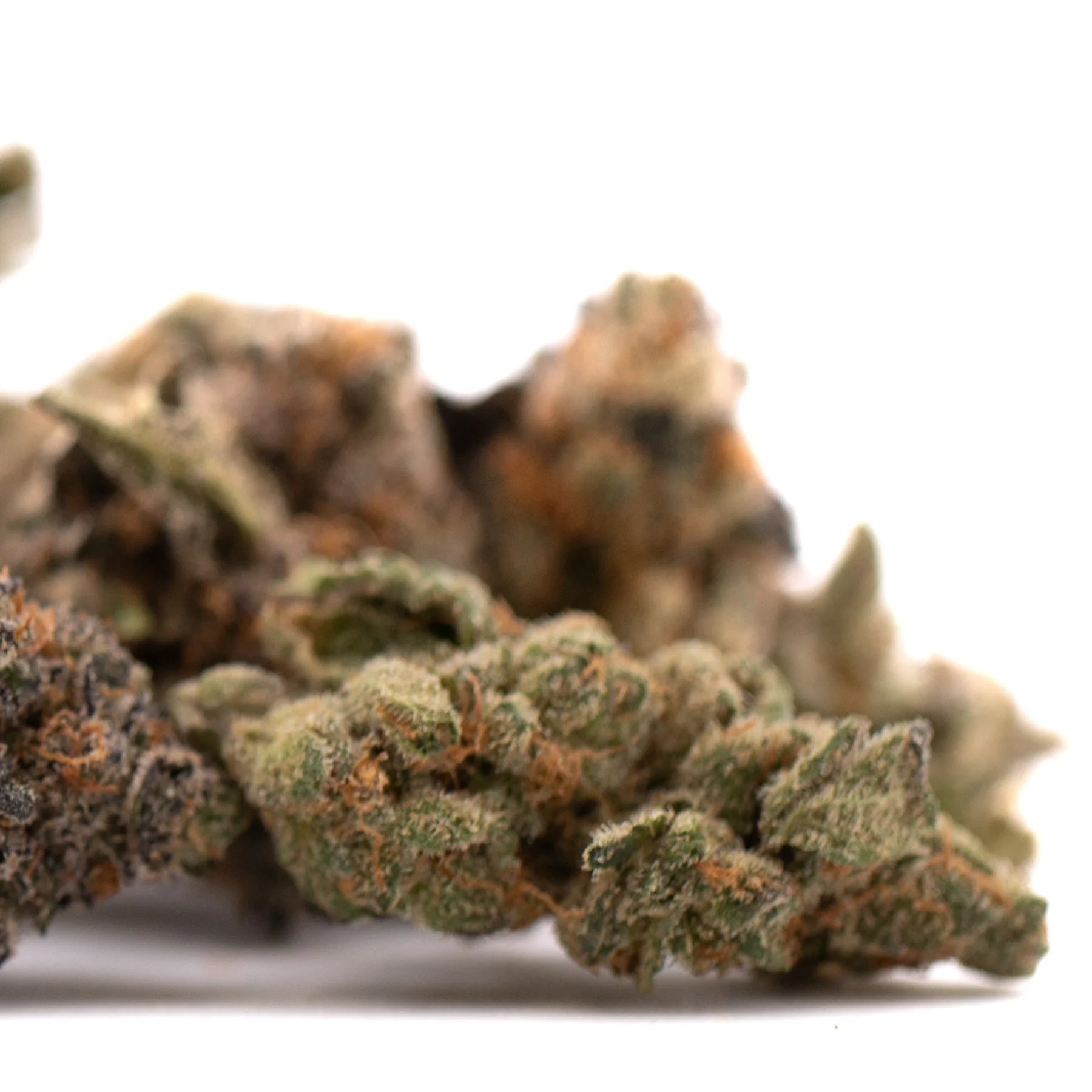 A dense textured pez indoor thca flower cannabis bud with green and brown hues covered in fine trichomes
