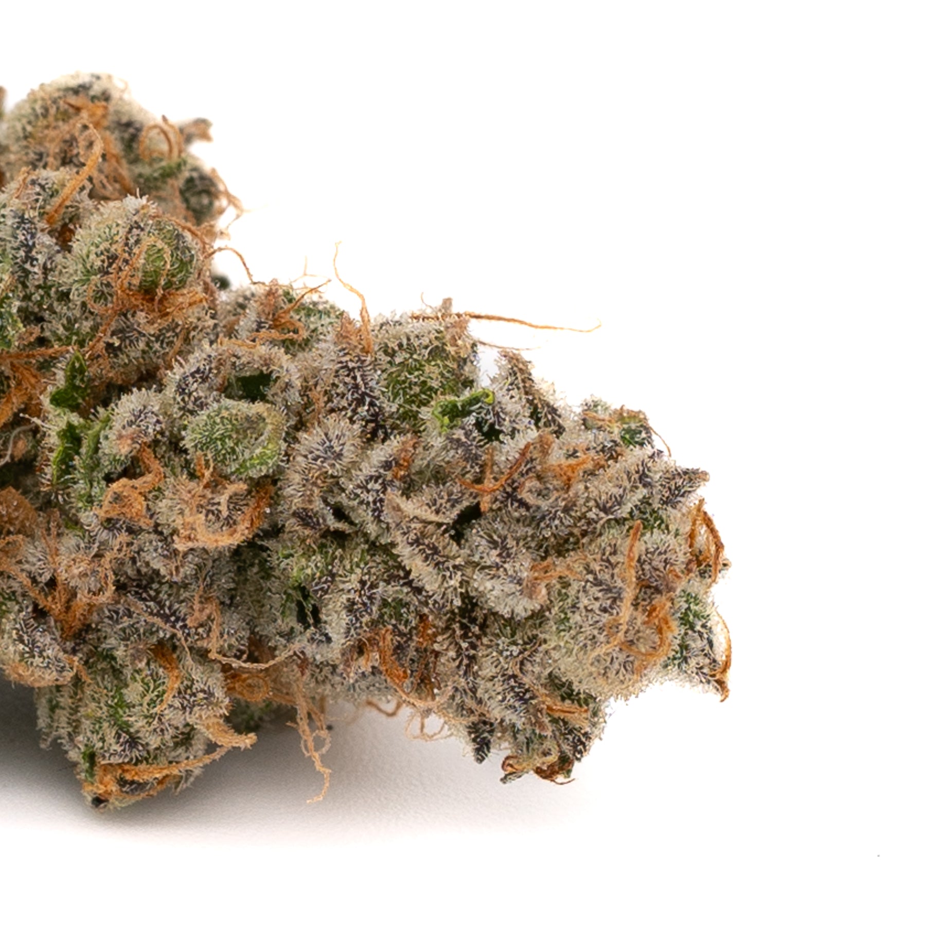 Phantom Menace Indoor THCa Flower - 5g - Plants