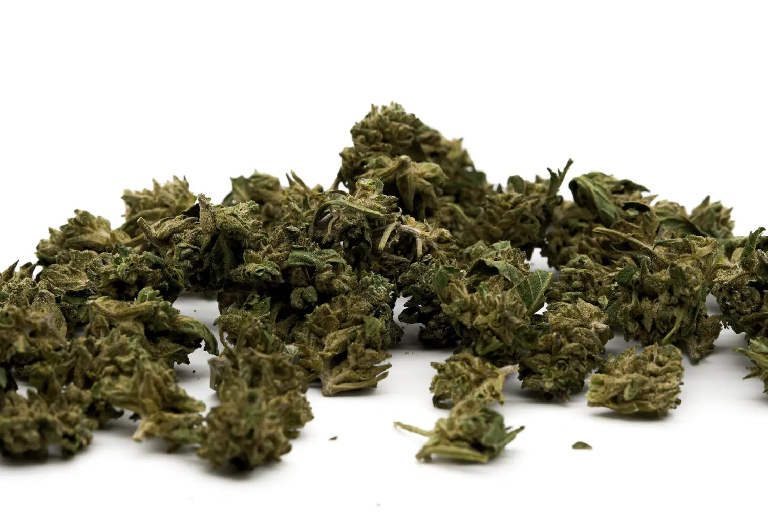 Pile of dried super sour diesel hemp flower buds for THCA hemp flower enthusiasts