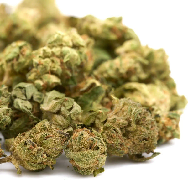GMO vs Strawberry Diesel THCa Flower