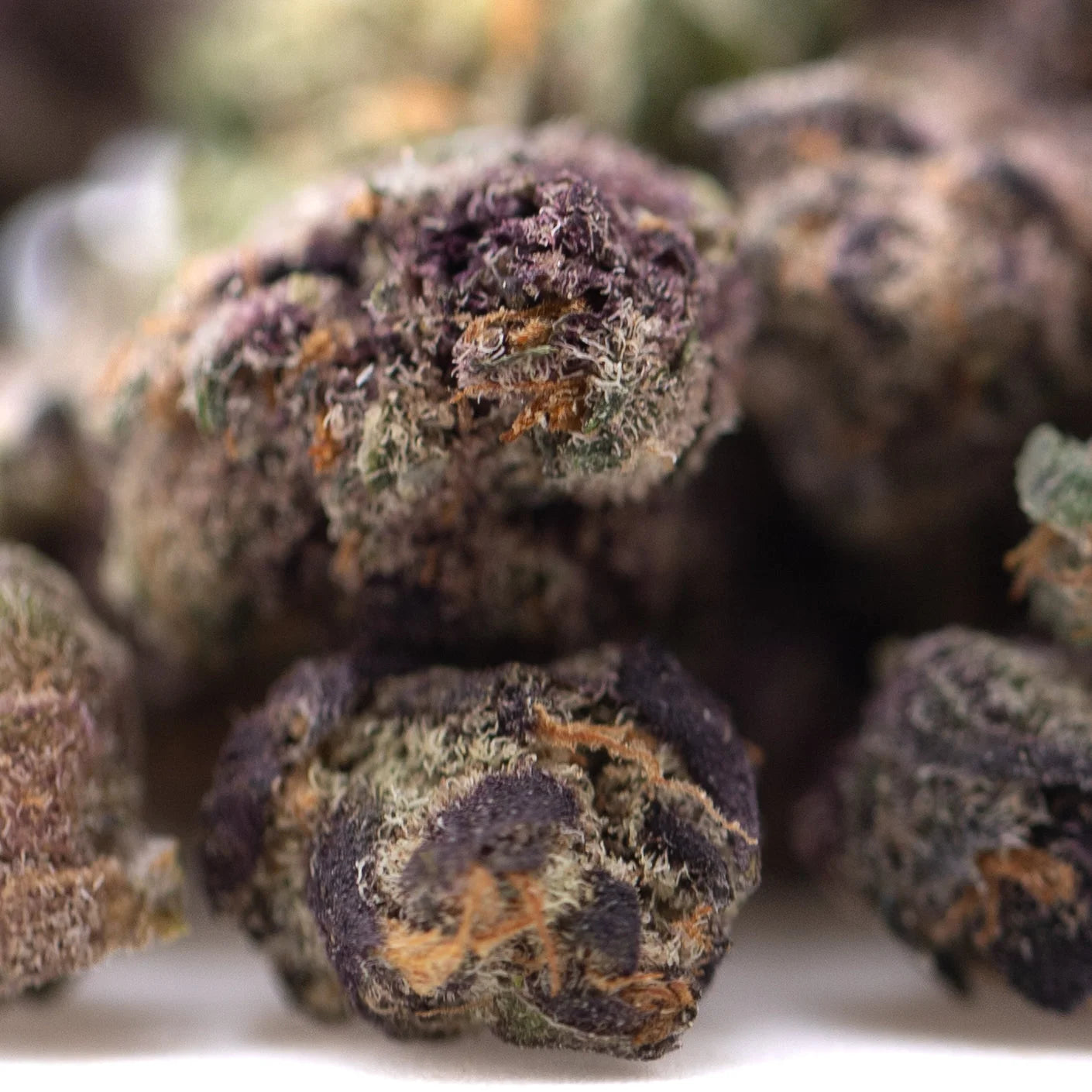 Purple and green dense frosty pineapple express thca flower smalls hemp flower buds from indoor harvest
