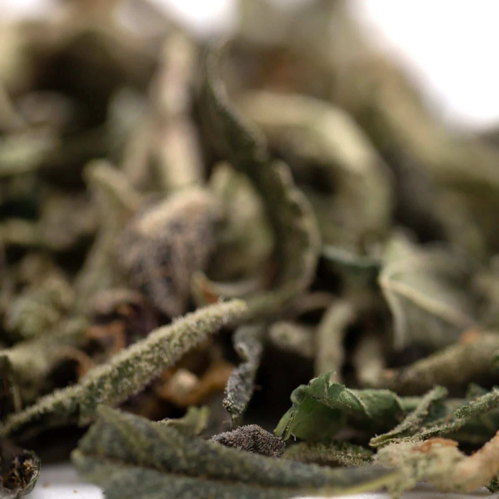 Pineapple Express THCa trim with dried sage leaves hemp flower blend