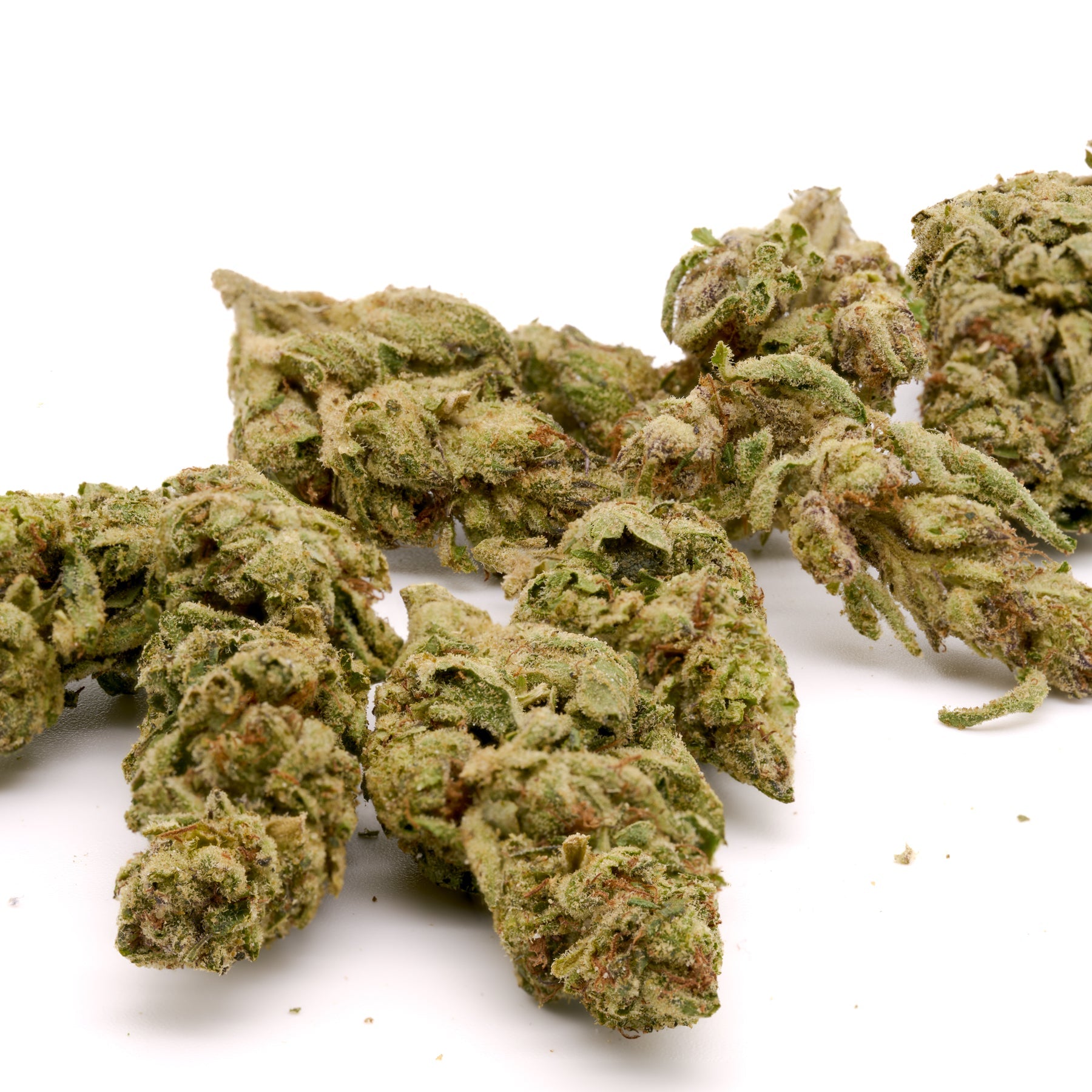 Pineapple Express THCa Hemp Flower Greenhouse - Plants