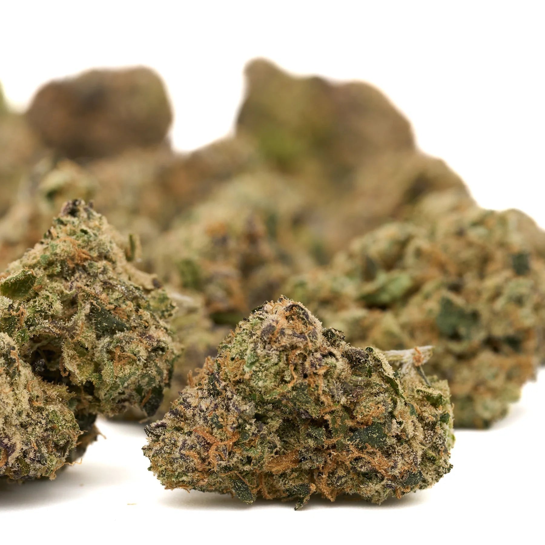 Dried Pineapple Rainbow’s THCa flower with trichomes and orange hairs, indoor rainbow belts