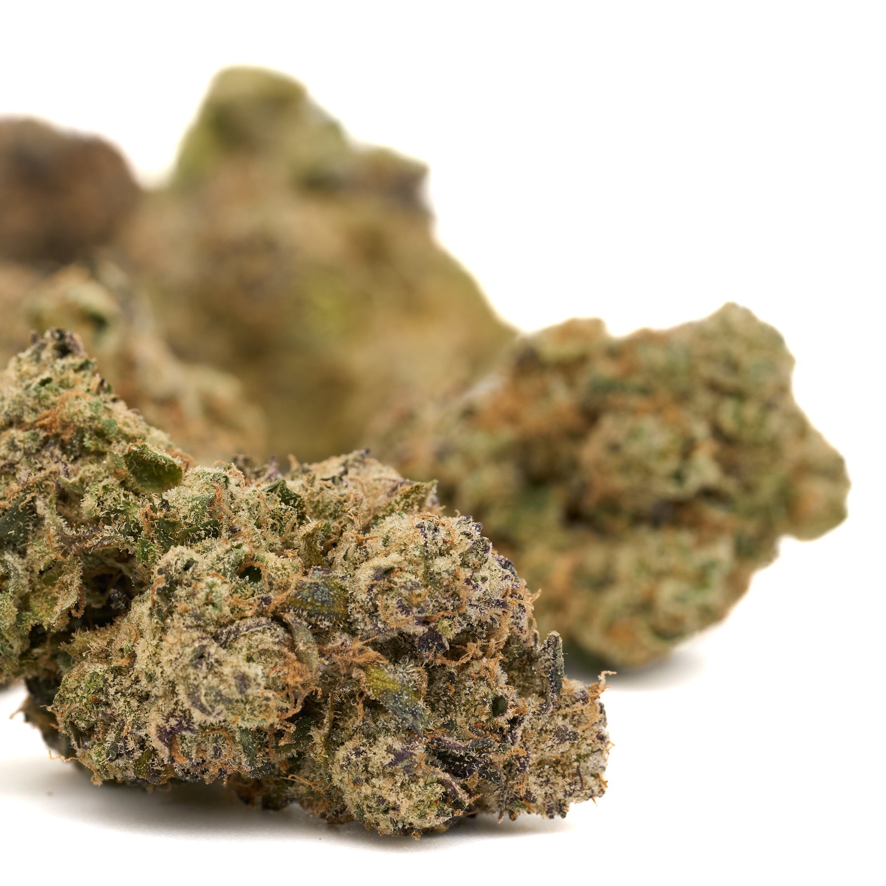 Dried cannabis flower buds from Pineapple Rainbow’s Indoor Rainbow Belts THCa Flower product