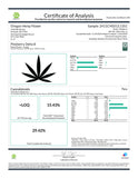 Pineberry Delta 8 Hemp Flower - Plants