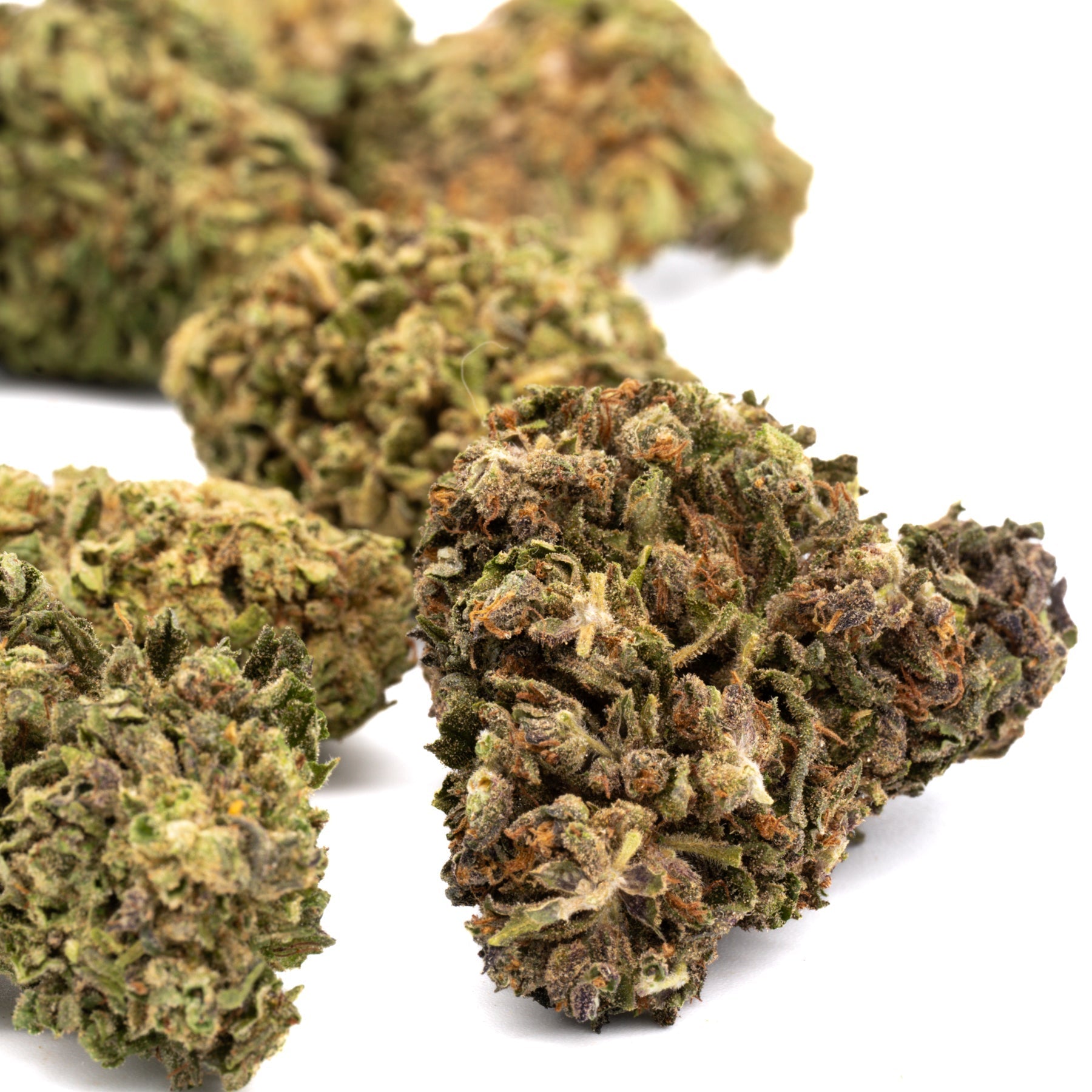 Pineberry Delta 8 Hemp Flower - Plants