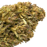 Pineberry Delta 8 Hemp Flower - Plants