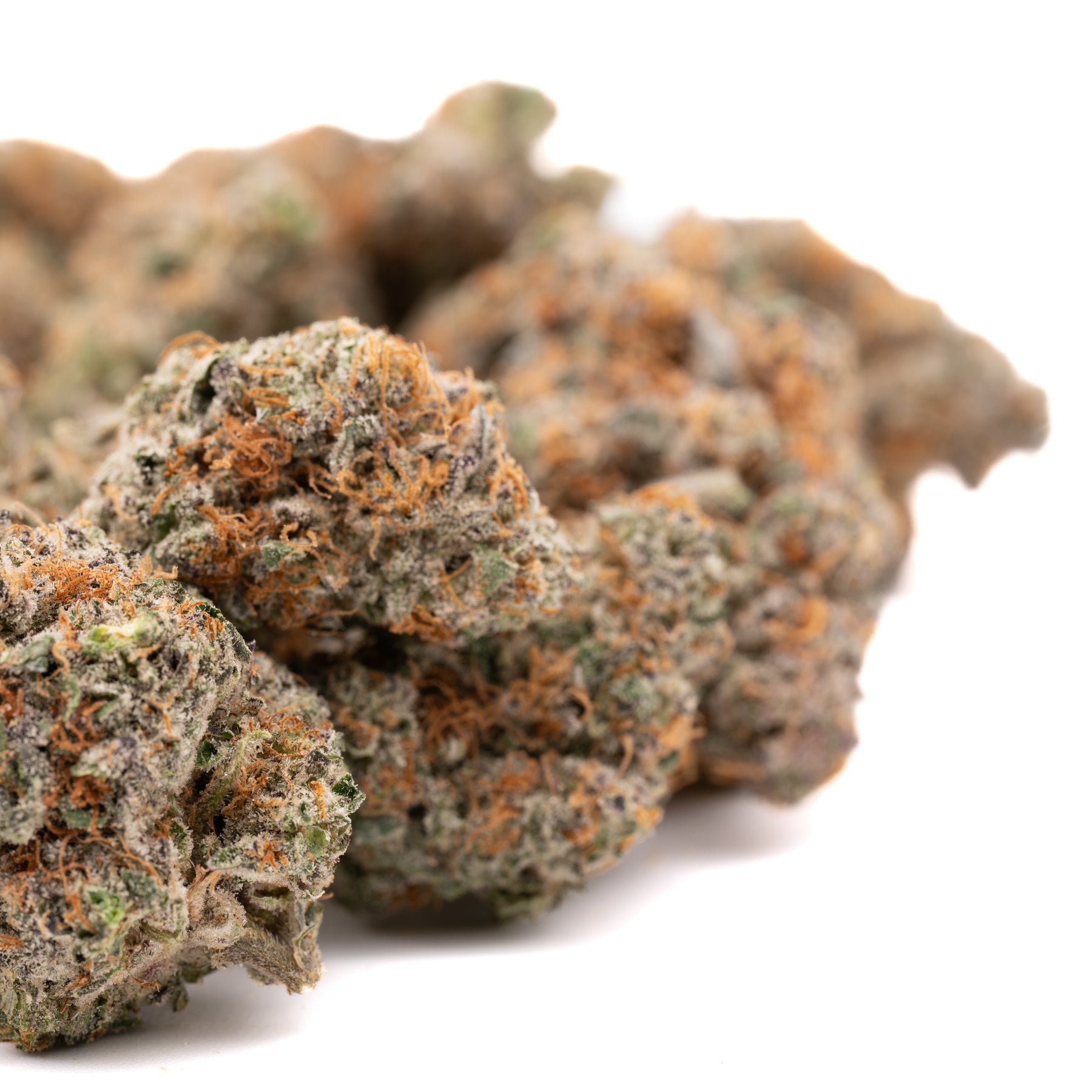 Pink Panties Indoor THCa Flower - Plants