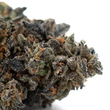 Dense Pink Runtz hemp flower bud with purple hues and potent effects