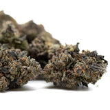 Dense Pink Runtz cannabis buds with orange hairs, showcasing premium hemp flower and potent effects