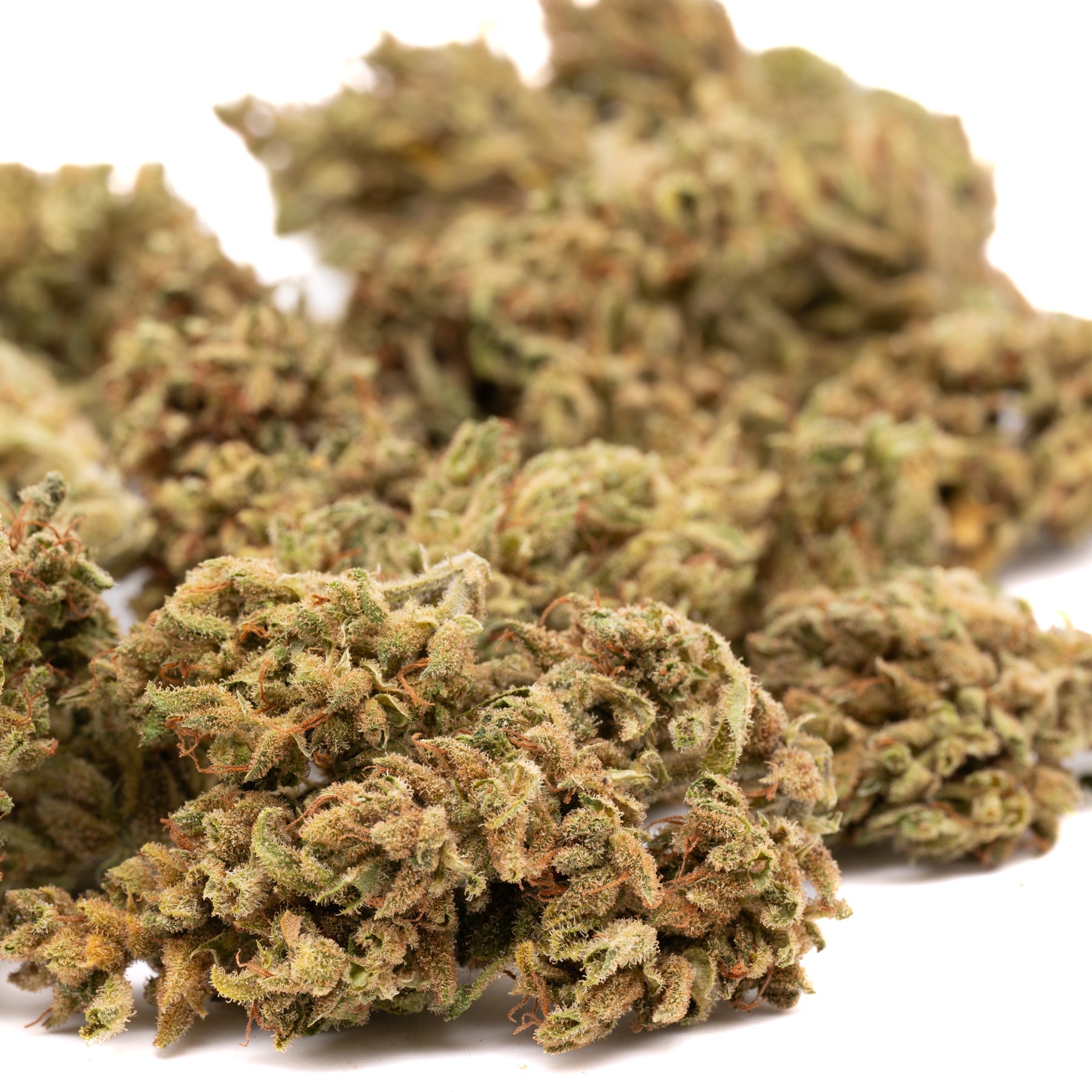 Pivot CBD Hemp Flower Smalls - Plants