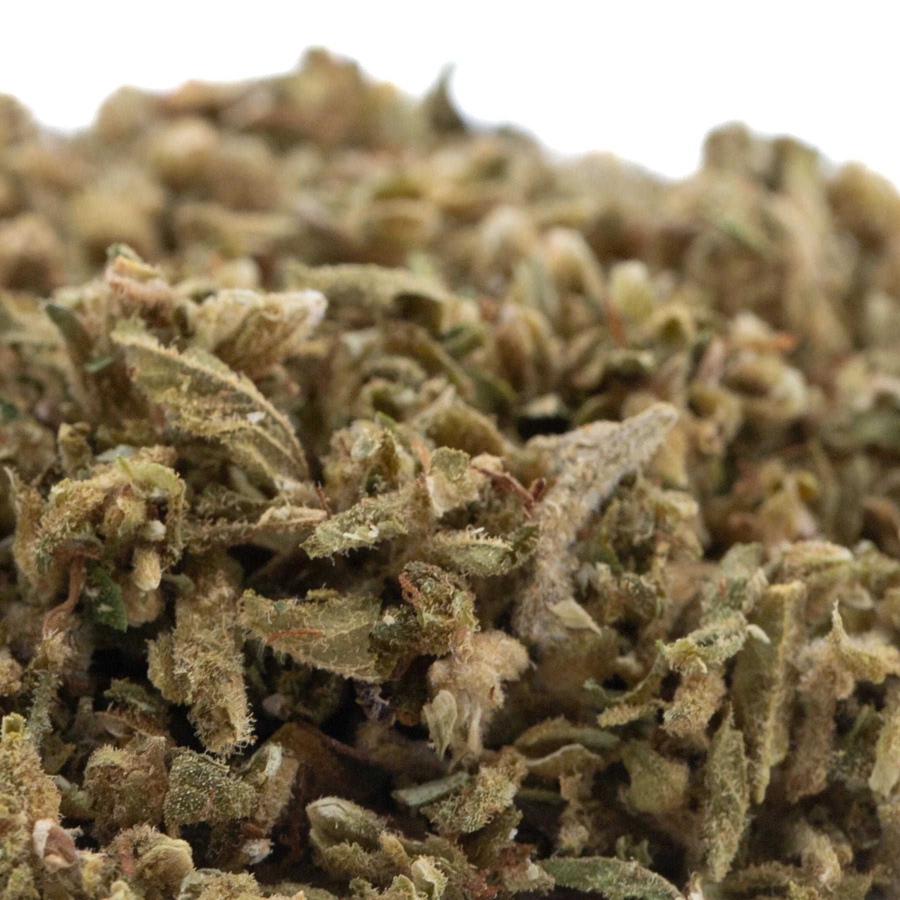 A dense green pivot full-term cbd hemp flower trim with frosty white trichomes and hints of brown showing cbd content