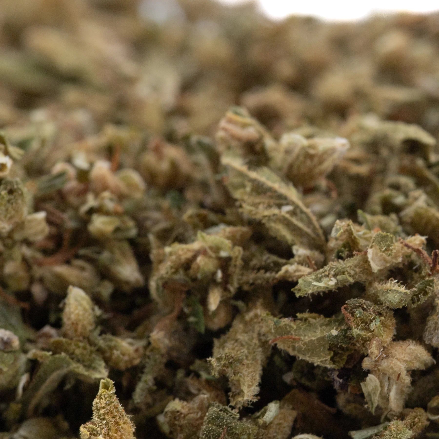 A dense pivot full-term hemp flower trim with green and brown hues covered in fine trichomes and pre-converted cbd content