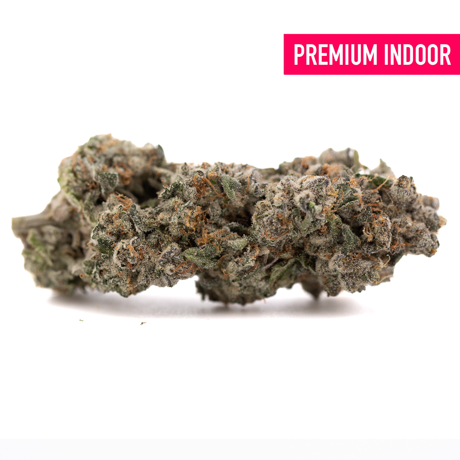 Premium Platinum Cookies THCa hemp flower bud with dense trichomes