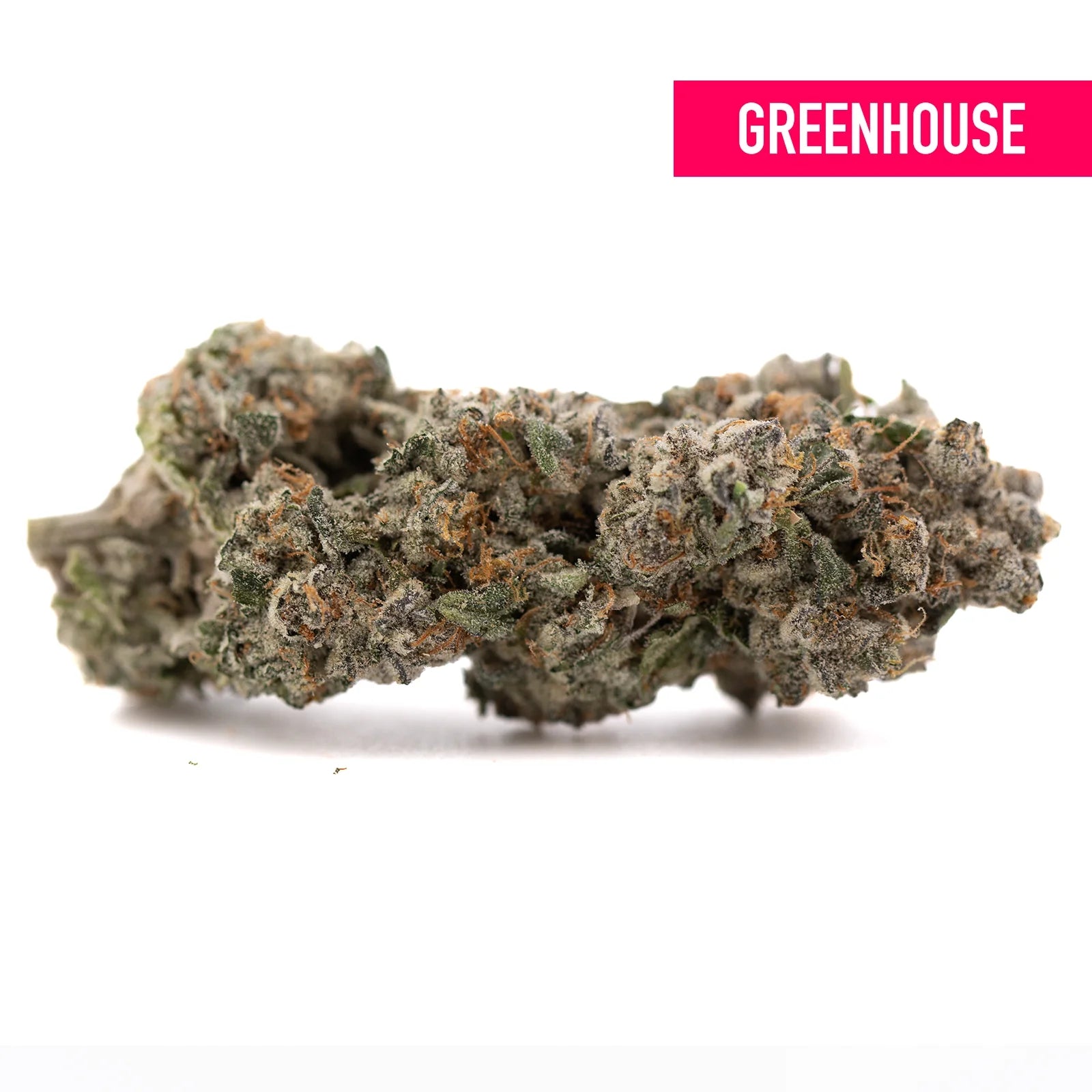 Platinum Cookies THCa hemp flower: green bud with white trichomes, Greenhouse