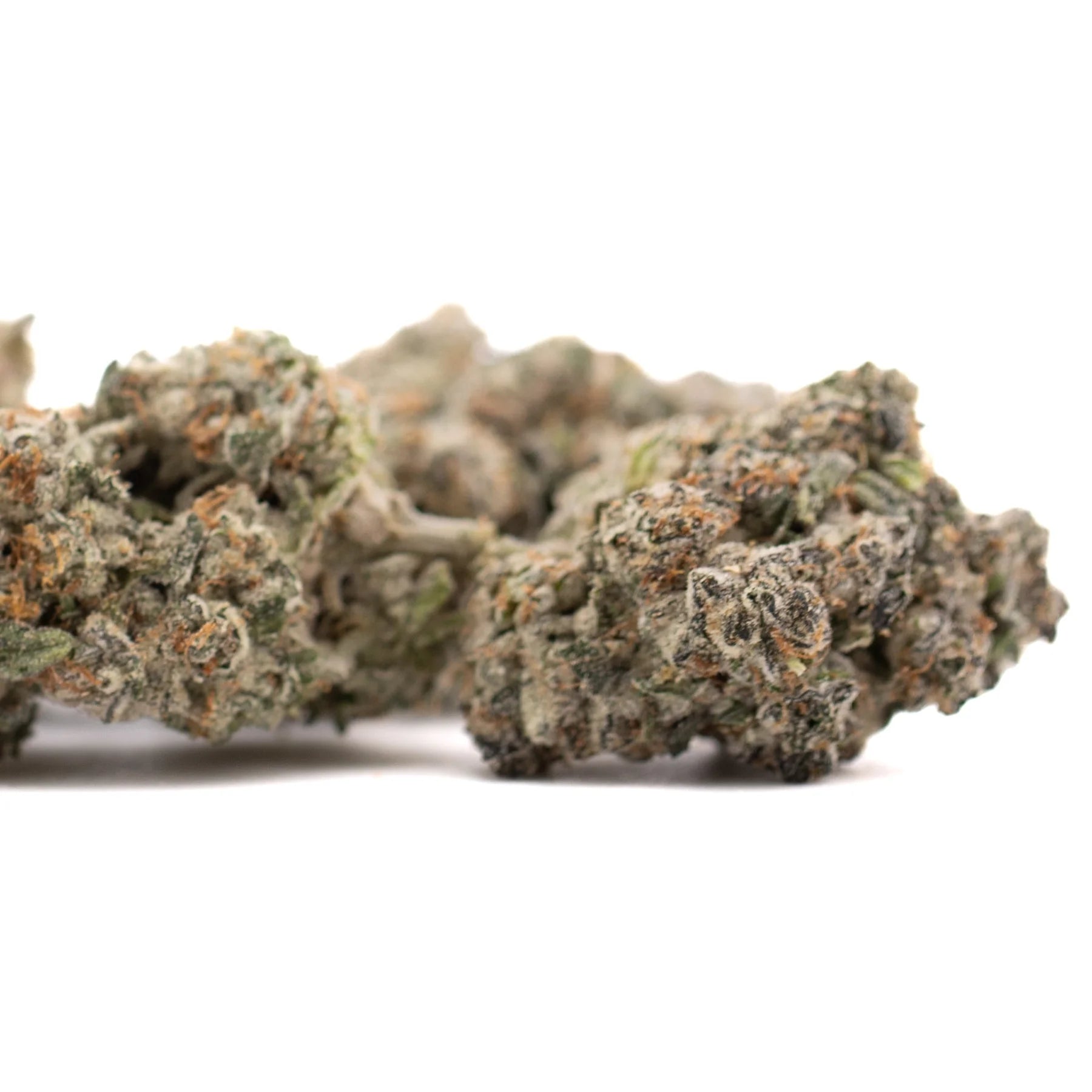 Premium Platinum Cookies THCa hemp flower bud with dense trichomes