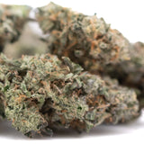 Platinum huckleberry cookies indoor thca hemp flower with dense green bud frosty trichomes and orange pistils girl scout strain