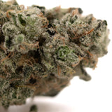 Dense frosty green platinum huckleberry cookies indoor thca flower with trichomes and orange pistils hemp flower wholesale