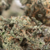 Dense frosty green platinum huckleberry cookies indoor thca flower hemp flower with fine orange pistils and textured surface