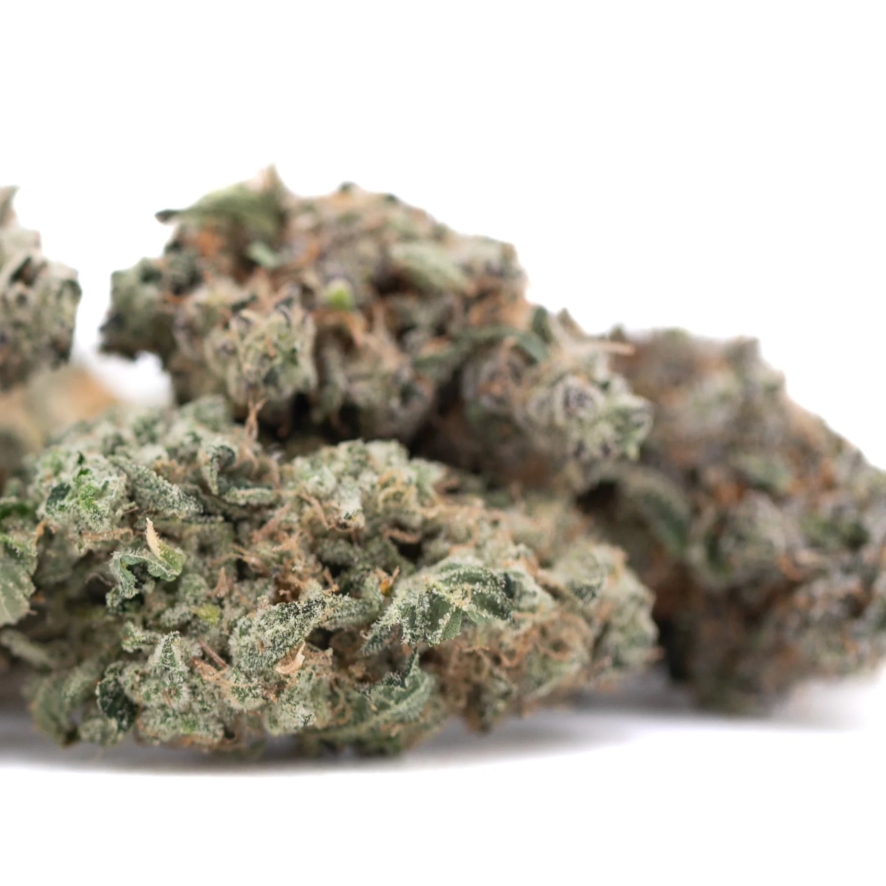 A dense green platinum huckleberry cookies indoor thca flower bud with frosty trichomes and orange pistils hemp flower