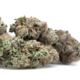 A dense green platinum huckleberry cookies indoor thca flower bud with frosty trichomes and orange pistils hemp flower