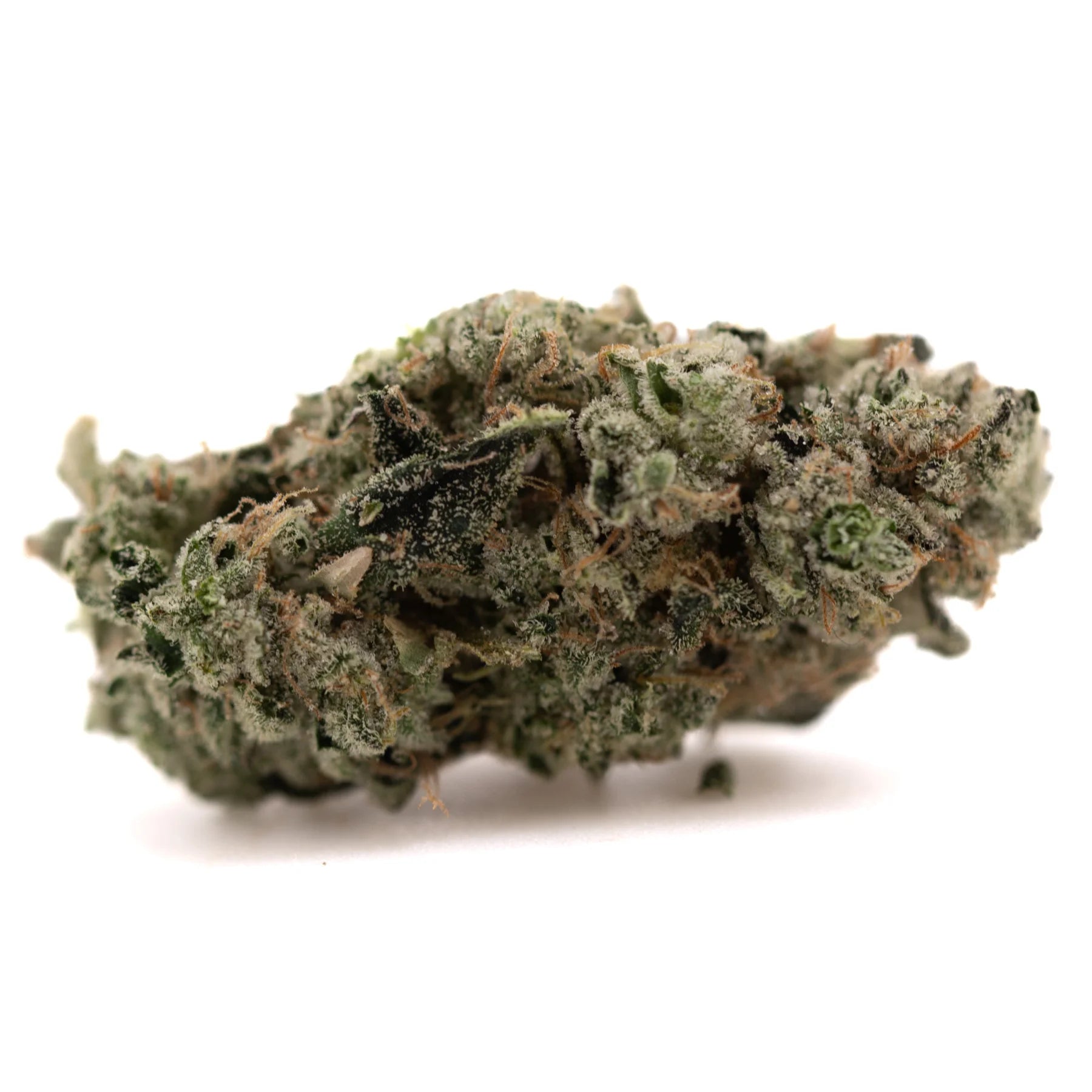 Dense green platinum huckleberry cookies indoor thca flower hemp flower coated with frosty white trichomes and brown pistils