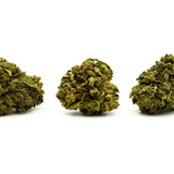 Pluto THCa