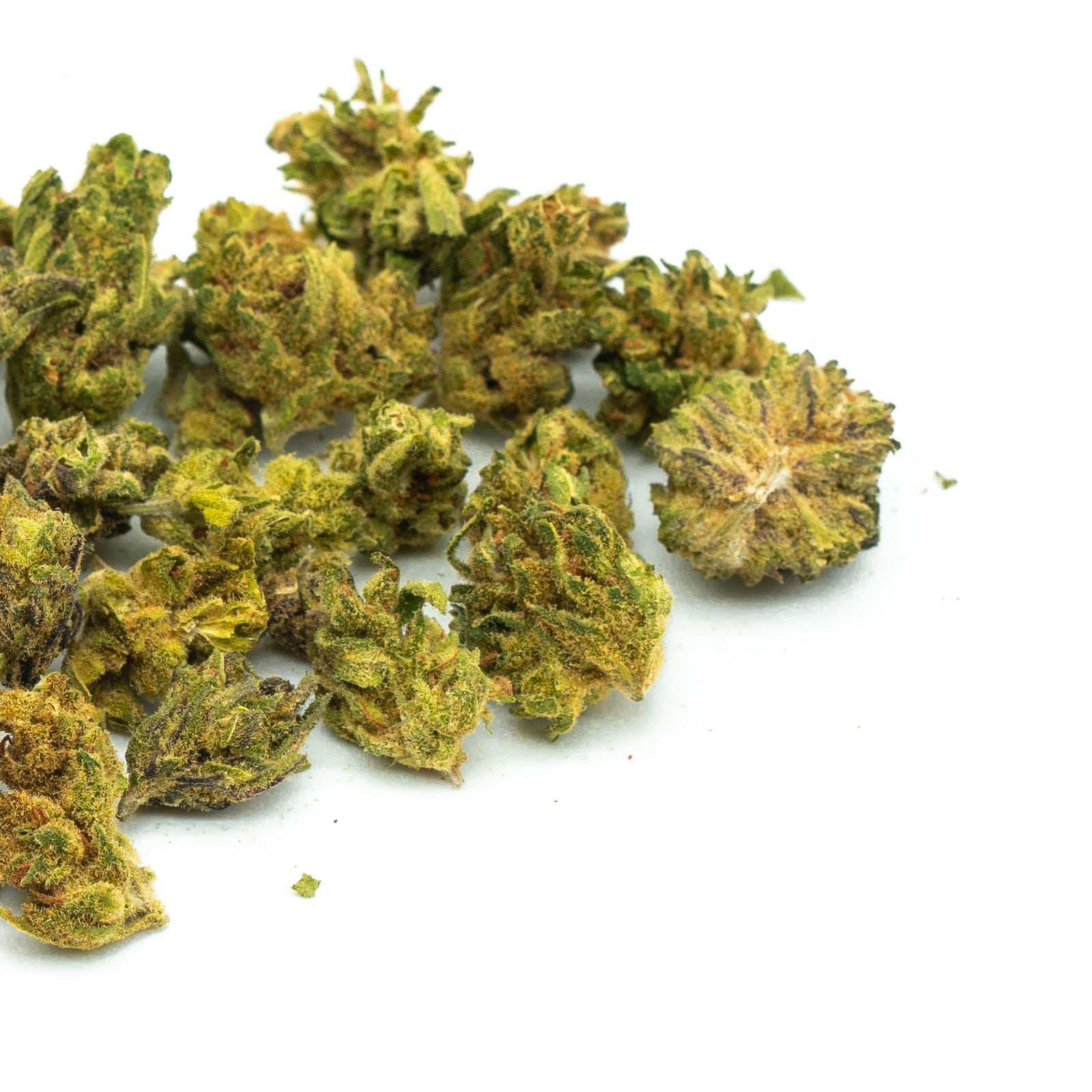 Pluto THCa Hemp Flower Wholesale (Smalls) - Plants