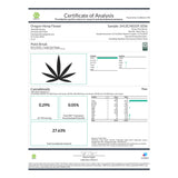 Point Break THCa Hemp Flower Greenhouse - Plants