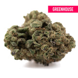 A dense green poison gushers thca hemp flower bud with textured trichomes and subtle purple undertones for resin production