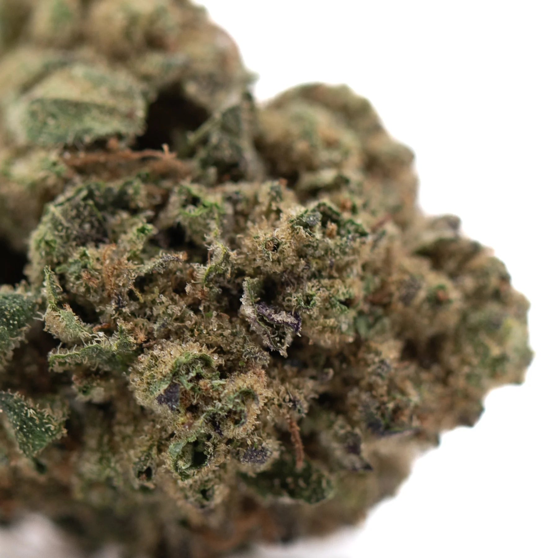 Poison gushers thca hemp flower greenhouse dense resinous bud with green and brown hues and high resin production