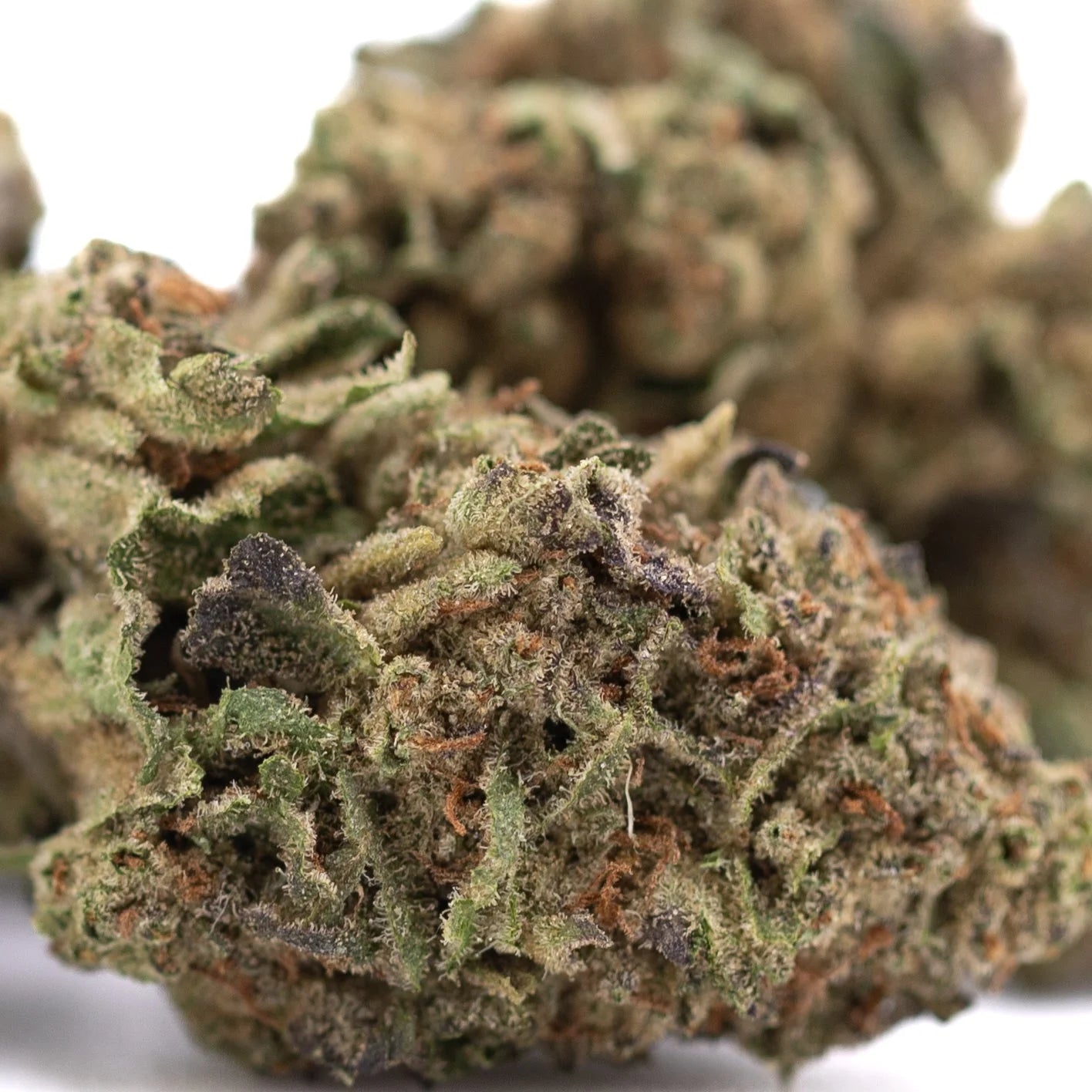 A dense poison gushers THCa hemp flower with green and brown hues covered in fine trichomes highlighting resin production