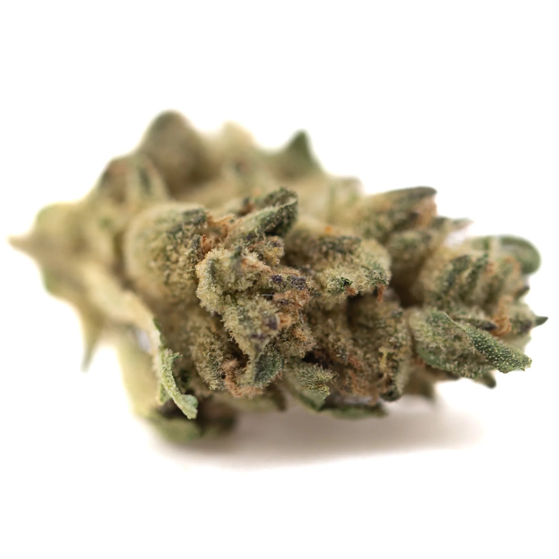 A dense green poison gushers thca hemp flower bud with textured trichomes and small leaves from greenhouse smalls