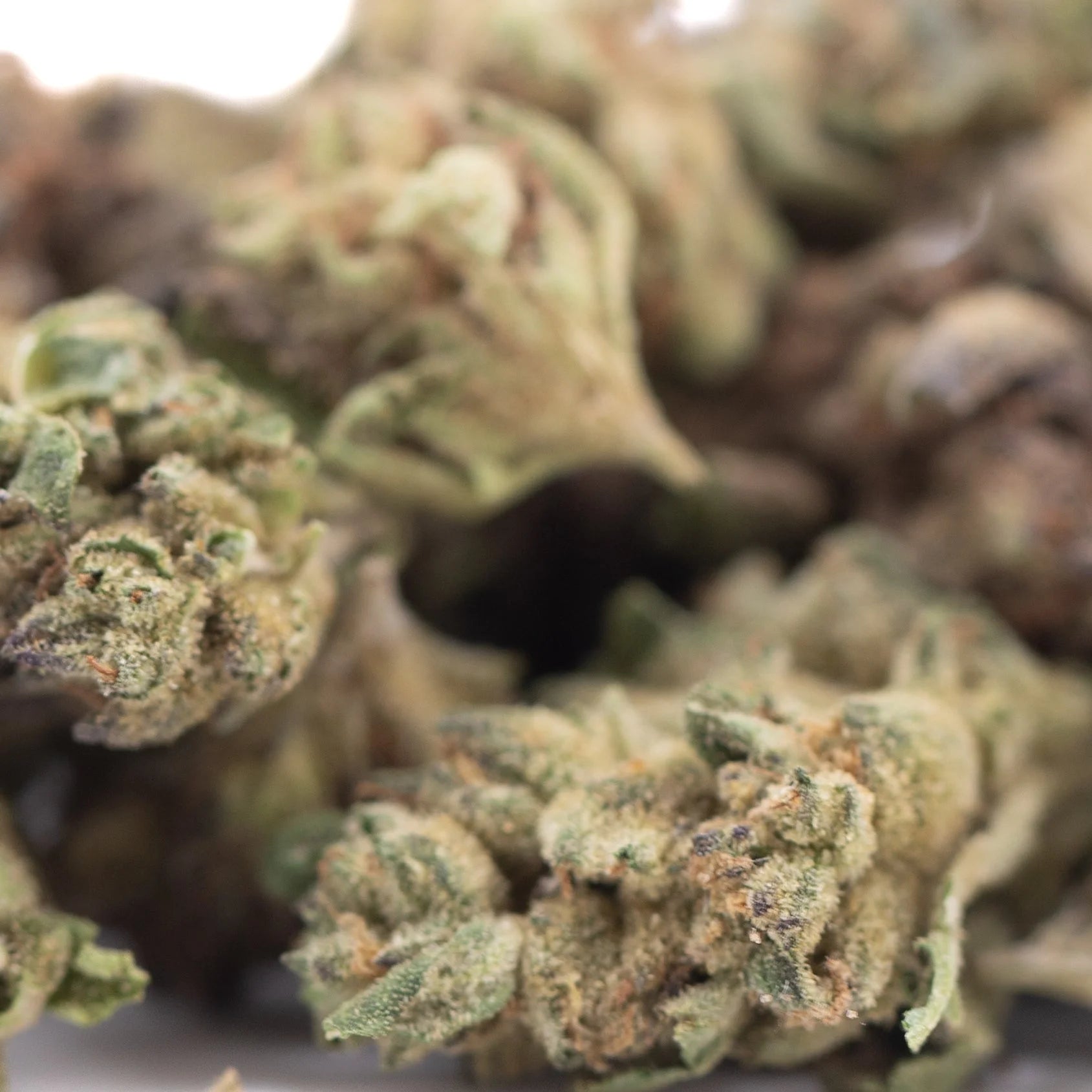 Green and brown poison gushers thca hemp flower buds with a frosty textured surface from greenhouse smalls
