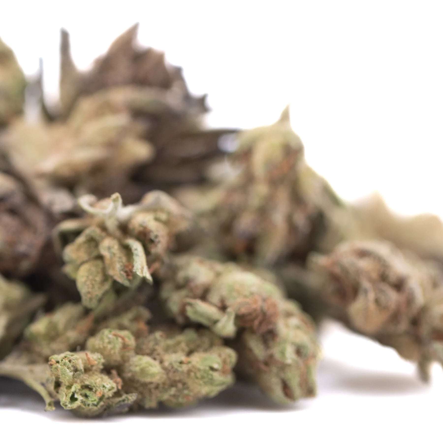 A pile of poison gushers thca hemp flower greenhouse smalls with green brown and orange trichomes