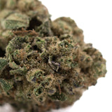 Poison gushers thca hemp flower dense green bud with fine trichomes purple undertones ultra-premium potency thca flower