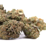Mature poison gushers thca hemp flower with dense green and brown buds featuring ultra-premium potency triangle kush