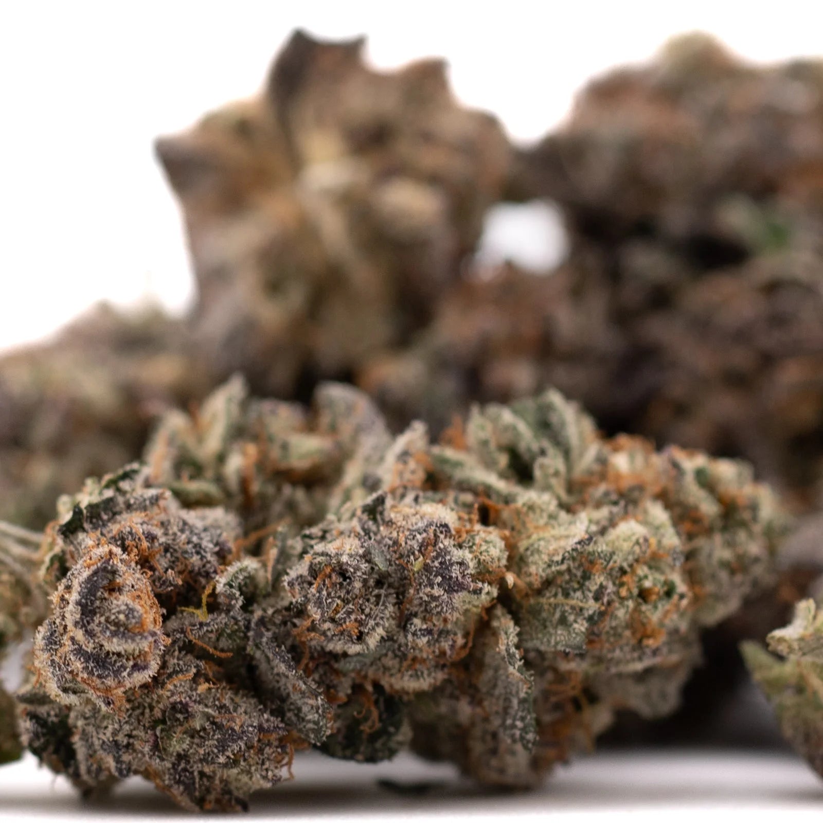 Dried cannabis buds with purple hues and orange hairs from Poppin Bottlez #2 premium THCa flower