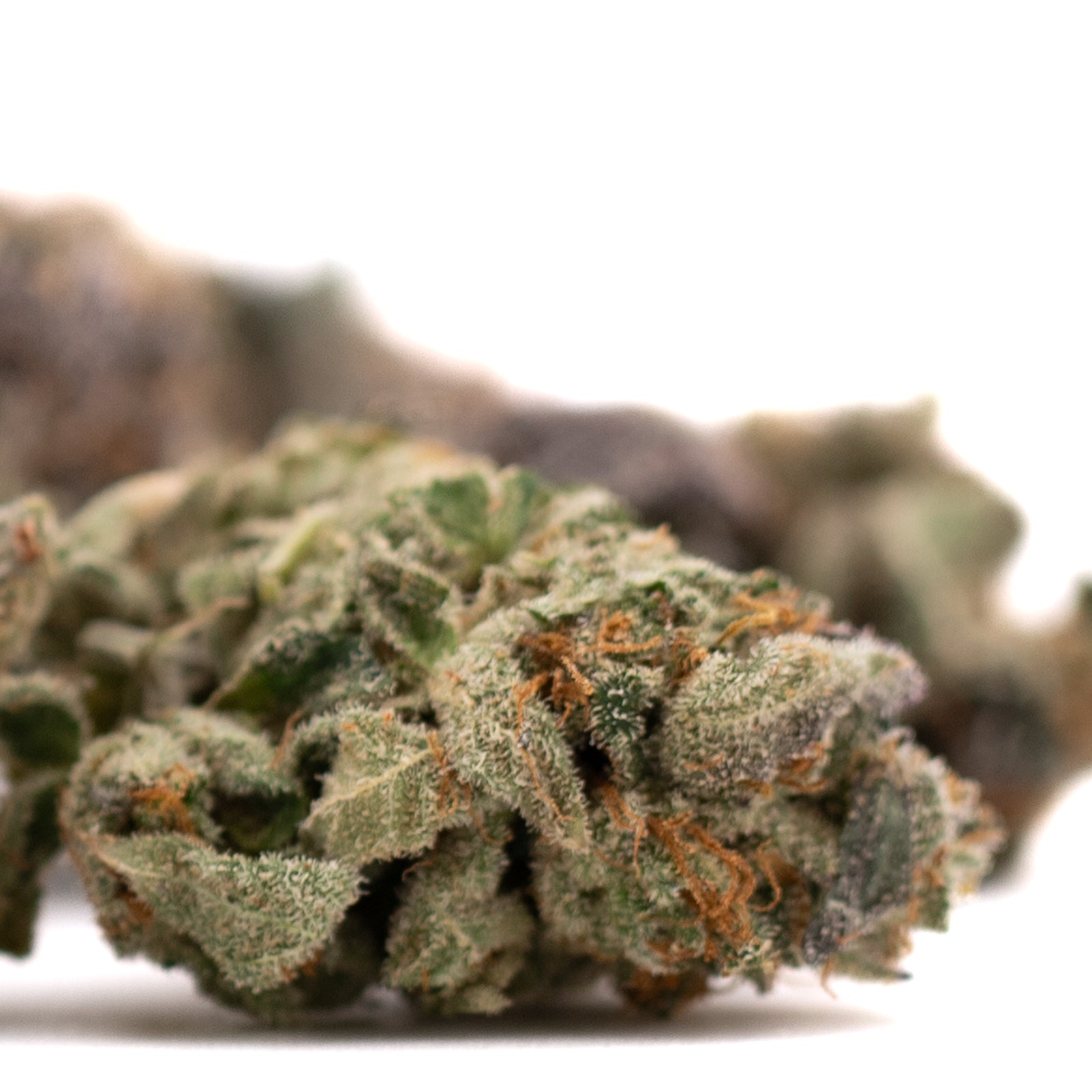 Dense cannabis bud with orange pistils from Poppin Bottlez #2 Indoor THCa Flower featuring rozay cake and hood candyz