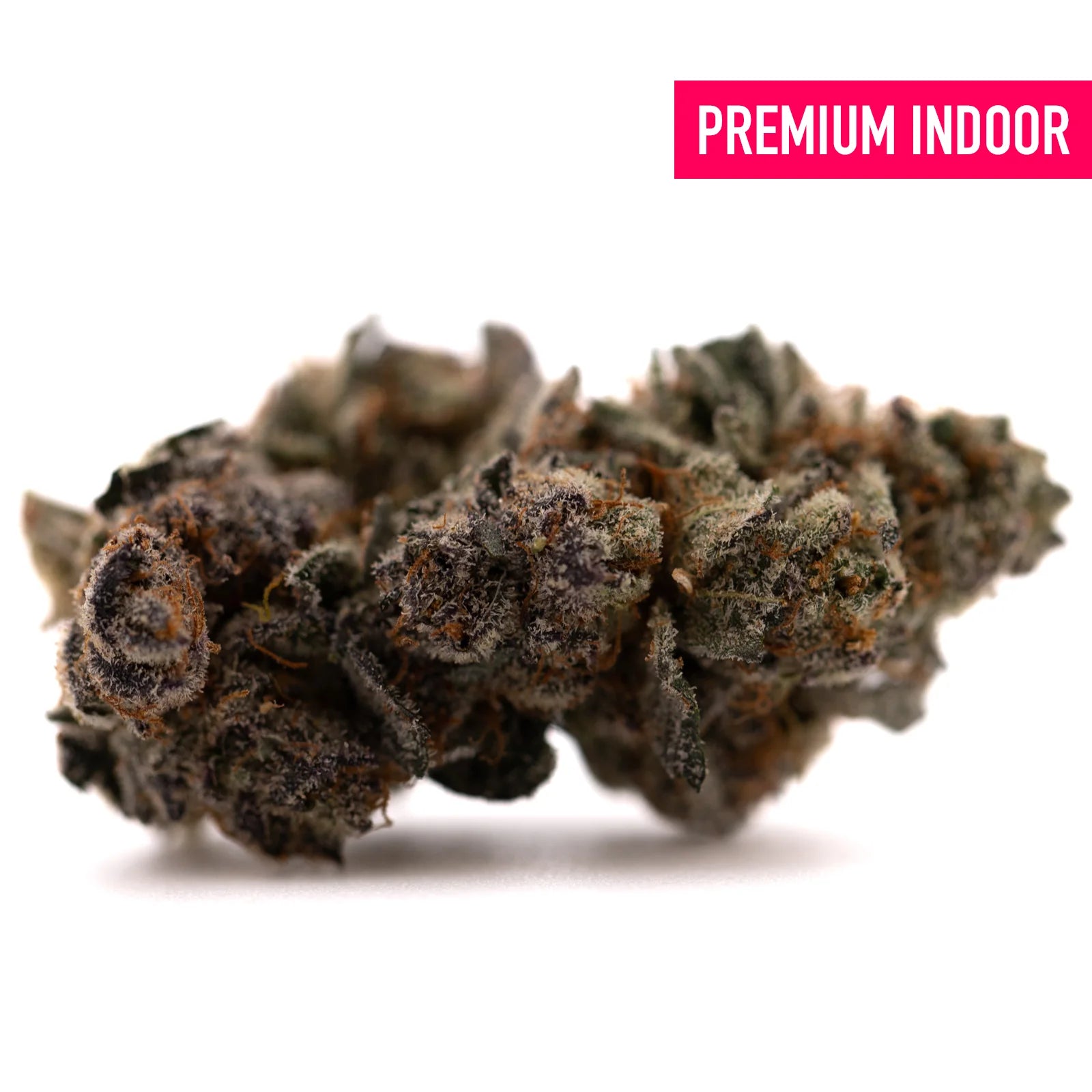 Dense cannabis bud with trichomes and purple orange hues from Poppin Bottlez #2 indoor THCa flower, perfect for rozay cake and hood candyz enthusiasts