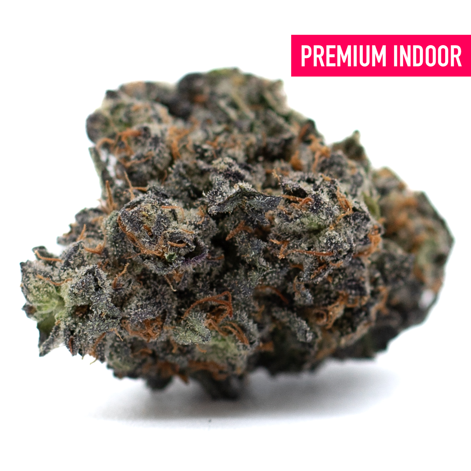 Dense Poppin Bottlez Indoor THCa Flower Rozay Cake with purple green hues and trichomes