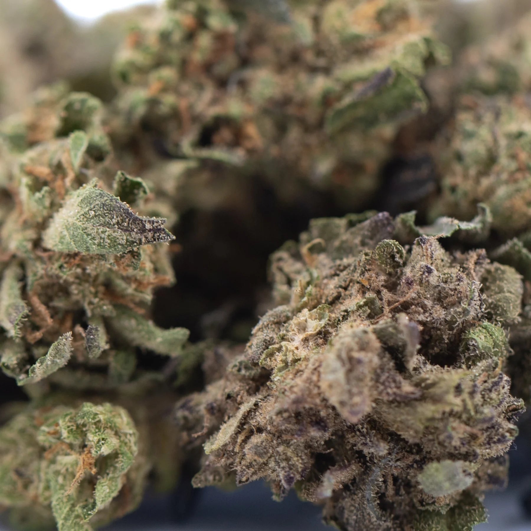 Poppin bottlez rozay cake hemp flower dense green and purple tinged trichomes by greenhouse smalls