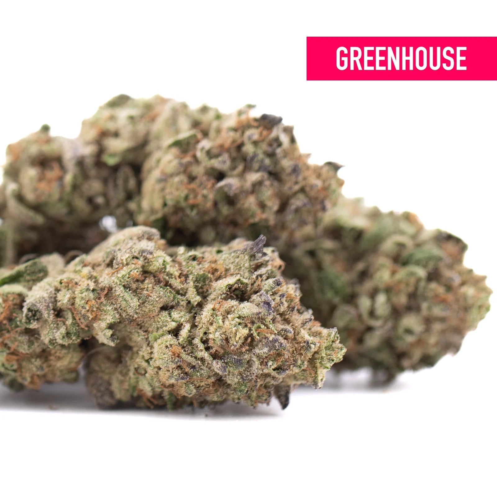 Poppin bottlez thca hemp flower greenhouse wholesale with rozay cake strain dense frosty buds near maximum potency