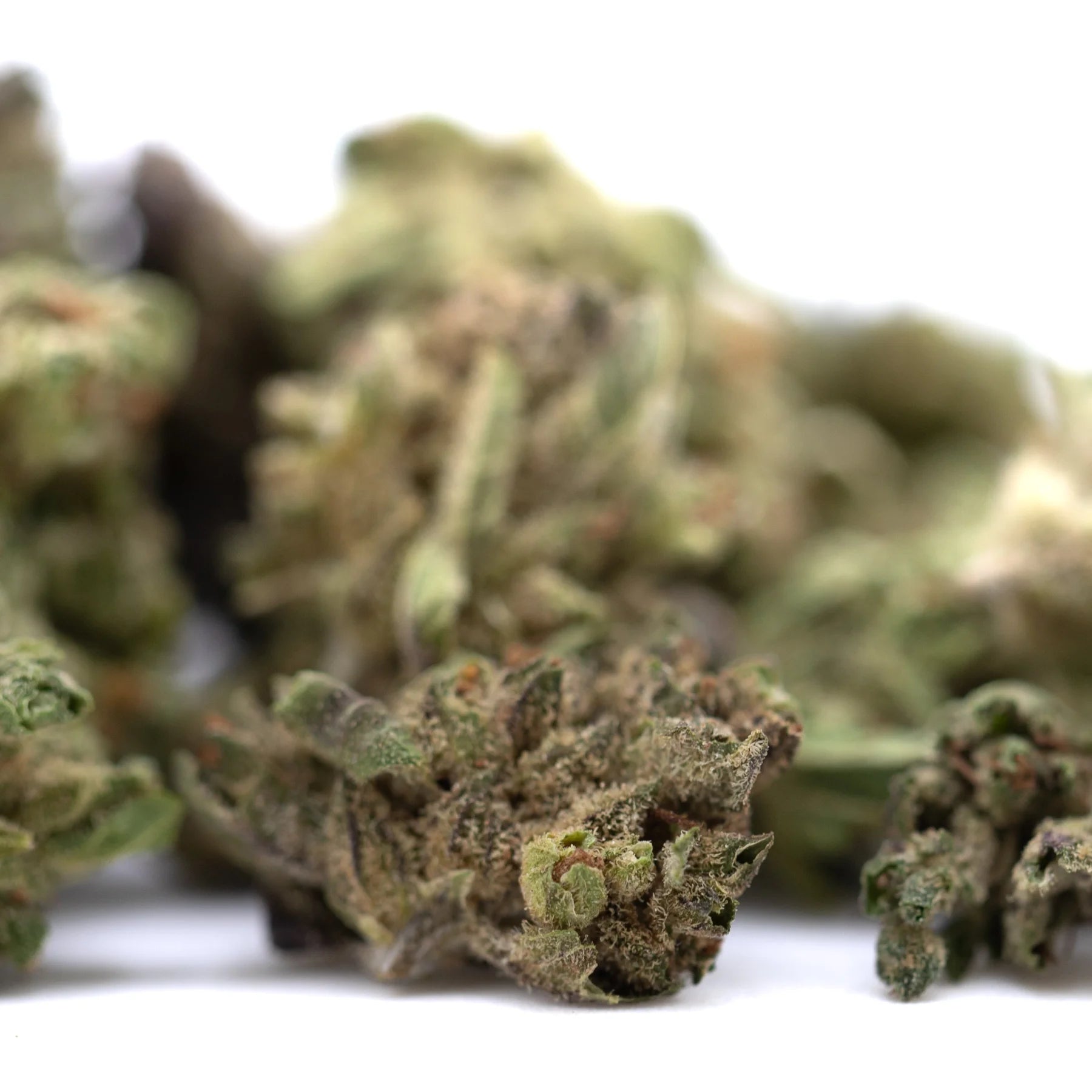 A dense green pound town full-term thca flower smalls bud with brown trichomes showcasing hemp flower quality