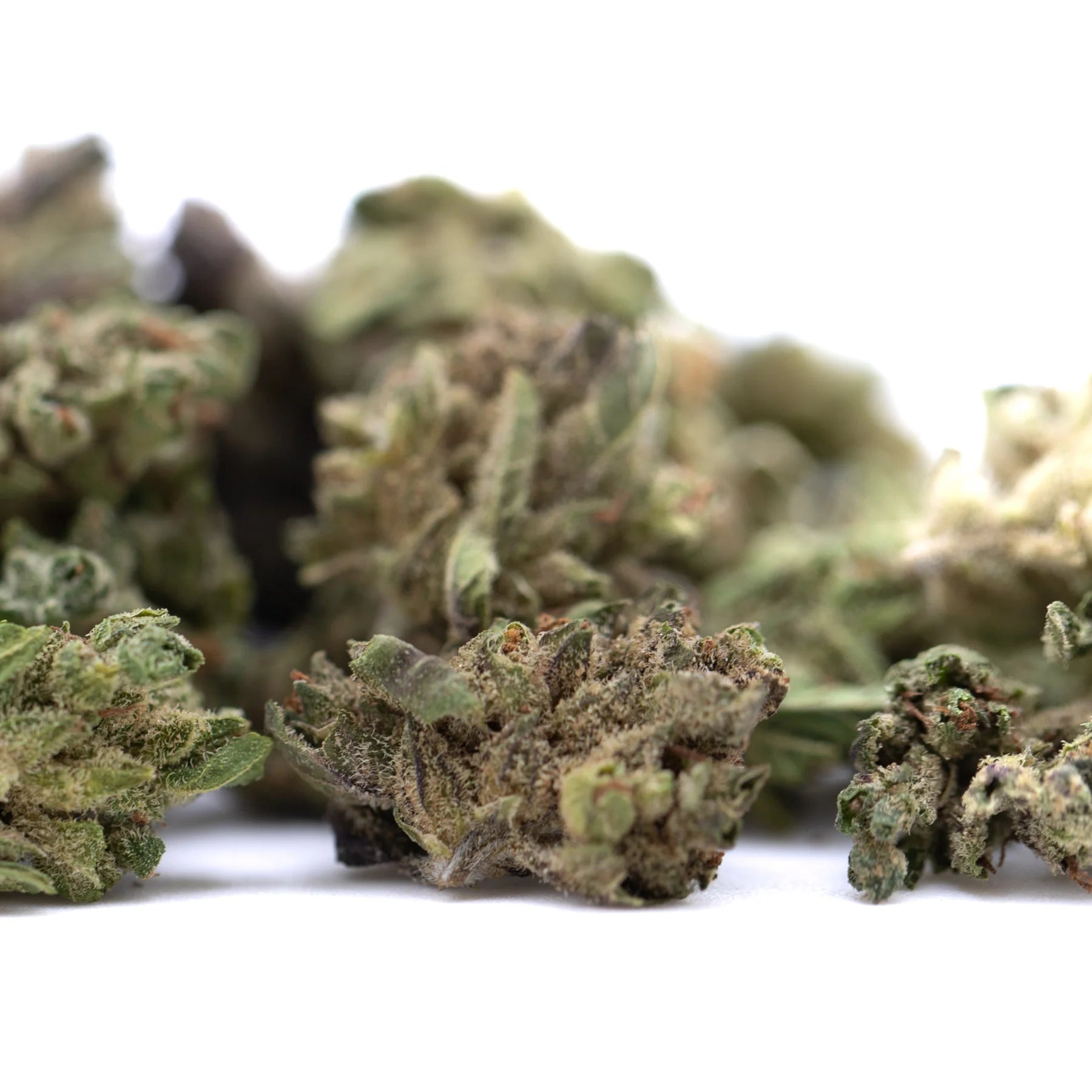 Dried pound town thca flower smalls full-term with dense hemp flower buds covered in trichomes and green leaves
