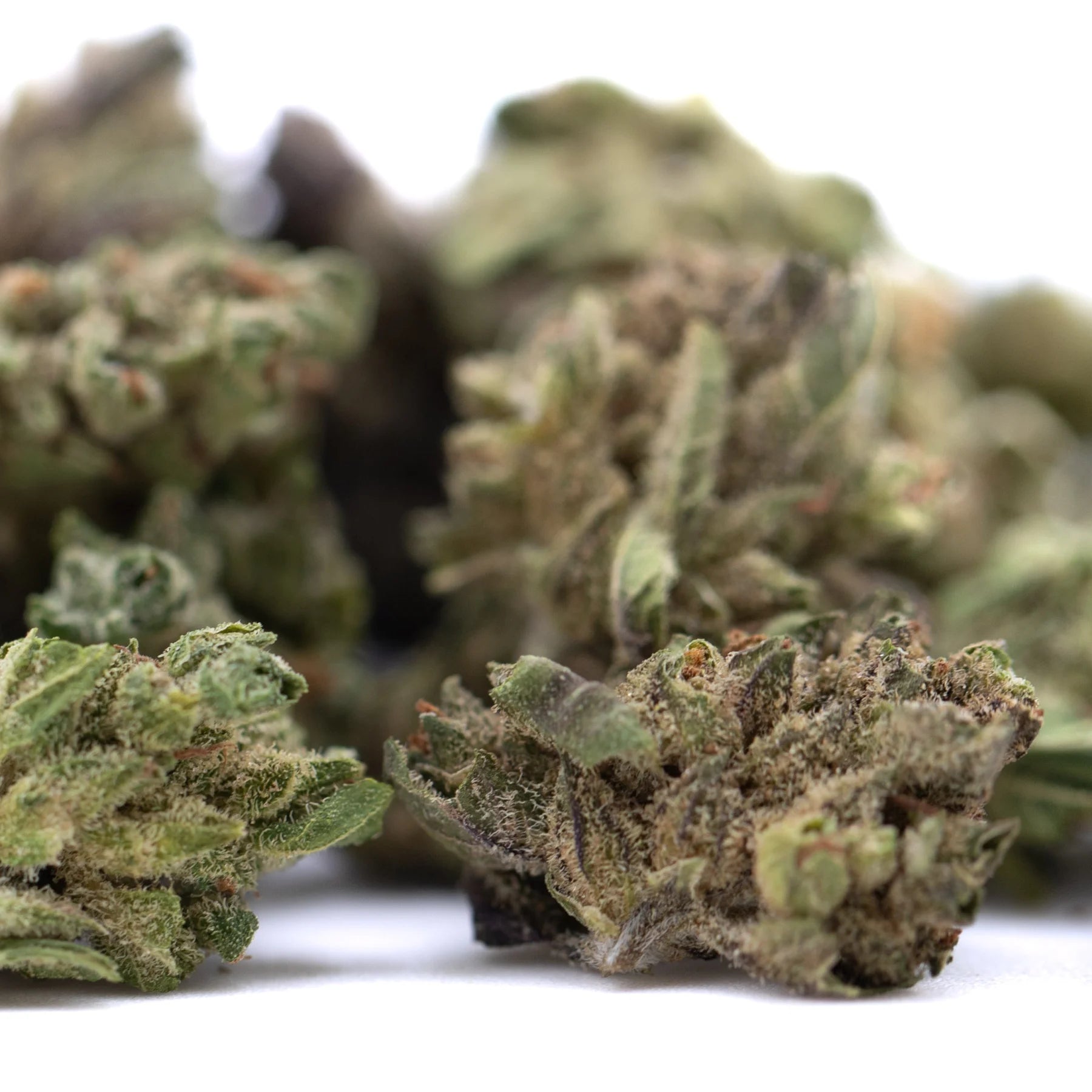 Green and brown dense frosty thca flower buds from pound town thca flower smalls full-term hemp flower variety