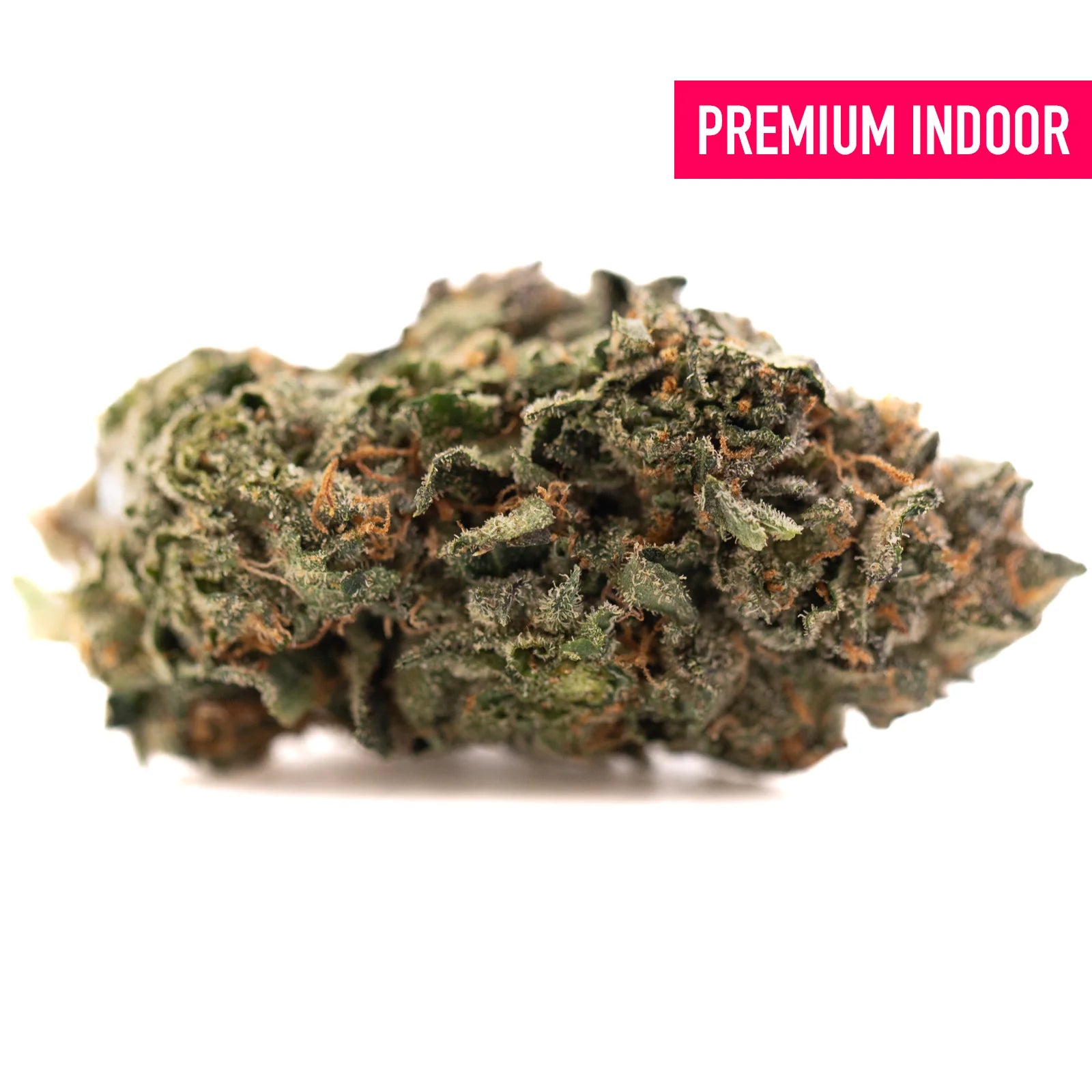 Dense green hemp flower with orange hairs and trichomes labeled PREMIUM INDOOR for Pressure #2 THCa Flower Wholesale